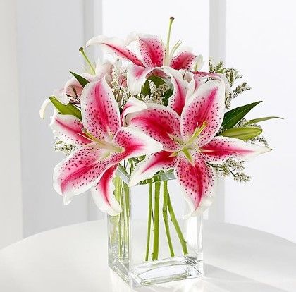 bunga lily pink yang segar dan cantik