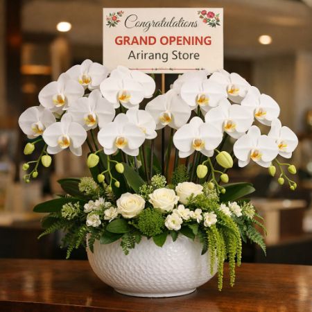 Bunga meja anggrek dengan kartu ucapan congratulations untuk grand opening