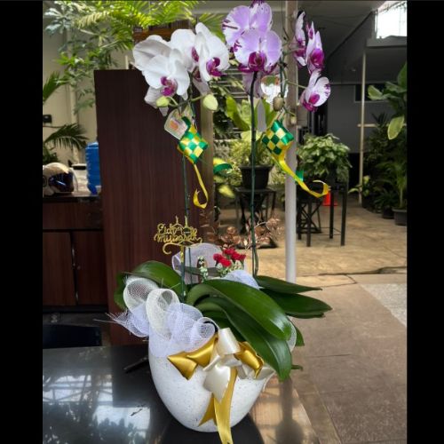 Toko bunga Medan Terpercaya Berkualitas Toko bunga Medan Terpercaya Produk Berkualitas Harga Murah